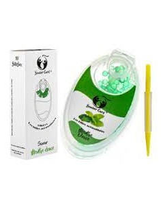 BOMBER CARD MENTHE DOUCE*10