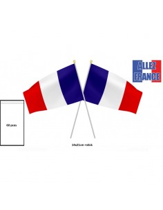 bg drapeaux france /60