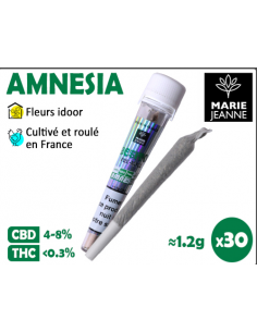 stick cbd amnesia